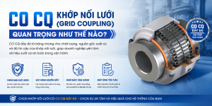 CO CQ khớp nối lưới (Grid Coupling) quan trọng như thế nào