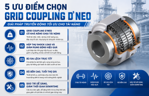 Grid Coupling D'neo